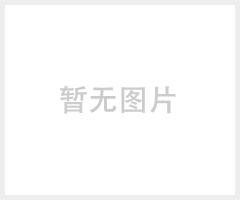 APC UPS不间断电源 （BK500-CH）