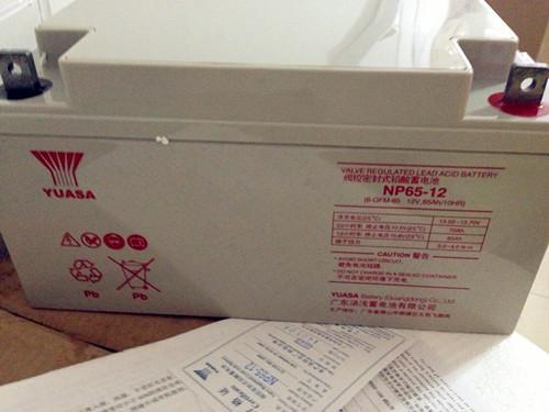 最新款YUASA UPS蓄电池NP65-12